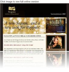 small business email campaign small business email campaign